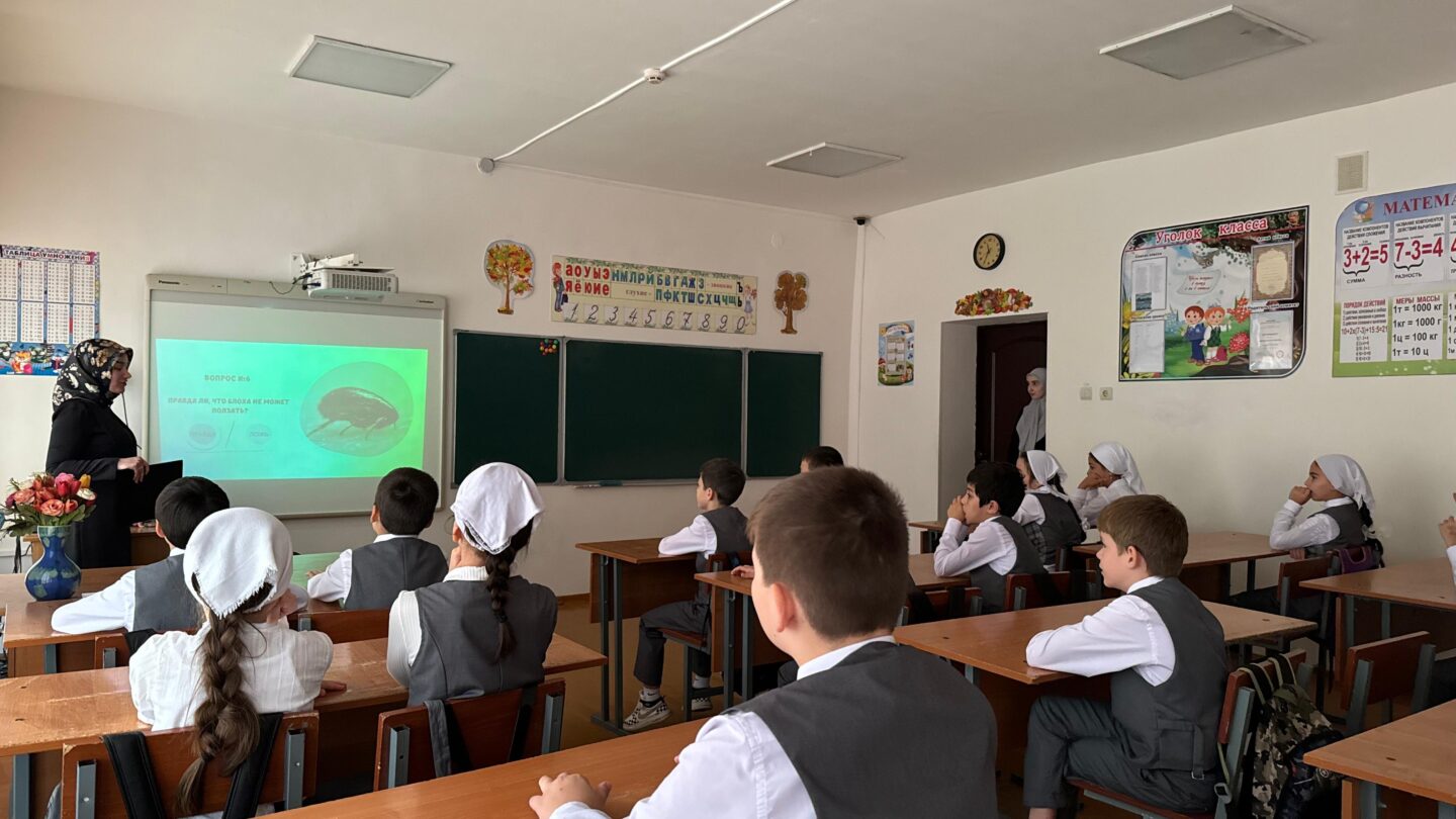 Викторина "Правда или ложь"